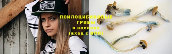 mdpv Арсеньев