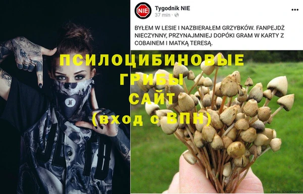 прущие крисы Аркадак