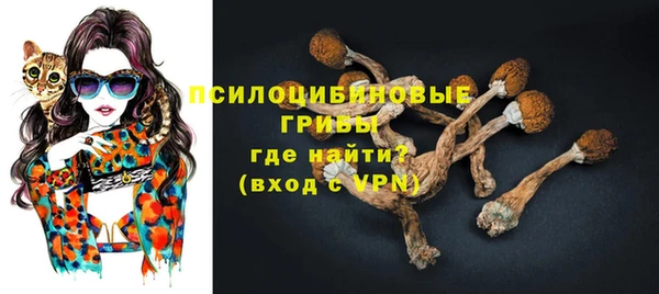 mdpv Арсеньев