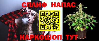 прущие крисы Братск