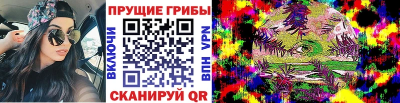 купить наркотик  hydra   Галлюциногенные грибы Magic Shrooms  Асбест 