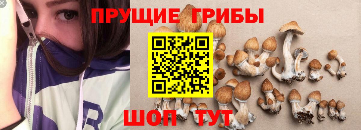 Асбест  Галлюциногенные грибы Psilocybe  Вход с VPN 